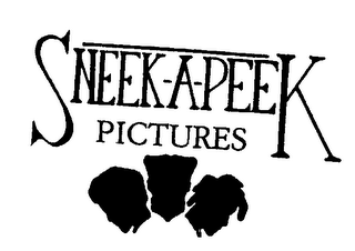 SNEEK-A-PEEK PICTURES 