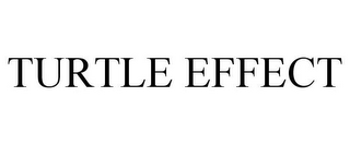 TURTLE EFFECT 