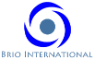 Brio International, LLC 