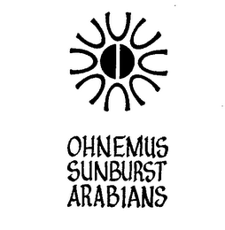 OHNEMUS SUNBURST ARABIANS 