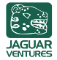 Jaguar Ventures 