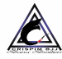 Crispim BJJ Barra Brothers 