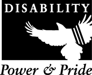 DISABILITY POWER & PRIDE 