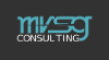 MVSG Consulting 