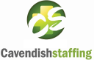 Cavendish Staffing Group 