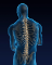 Everson Orthopedic Physical Therapy Services 