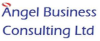 Angel Business Consulting Ltd 