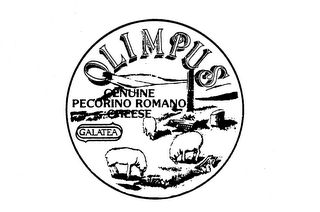 OLIMPUS GENUINE PECORINO ROMANO CHEESE GALATEA 