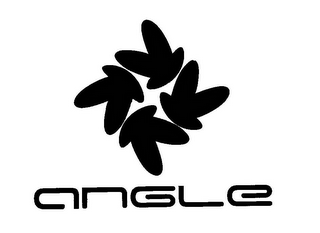 ANGLE 