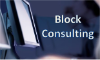 Block Consulting, LLC 