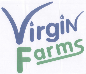 VIRGIN FOODS 