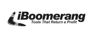 IBOOMERANG TOOLS THAT RETURN A PROFIT 