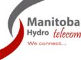 Manitoba Hydro Telecom 