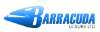 Barracuda Leisure Ltd 