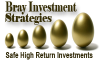 Bray Investment Strategies 