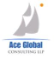Ace Global Consulting LLP 