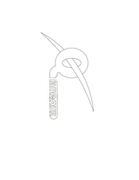 QTANEOUS 