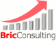 About BricConsulting 
