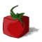 Square Tomato Truck LLC 