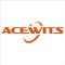 Acewits Electronics Limited 