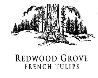 REDWOOD GROVE FRENCH TULIPS 