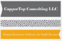 CopperTop Consulting LLC 