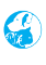 KK&#39;s Holistic Veterinary Service 