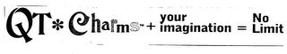 QT CHARMS + YOUR IMAGINATION = NO LIMIT 
