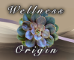 Wellness Origin 