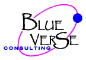 Blue Verse Consulting, LLC 