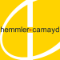 hemmler + camayd architects 