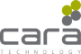 Cara Technology Limited 